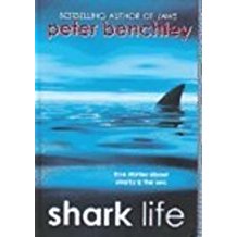 shark life